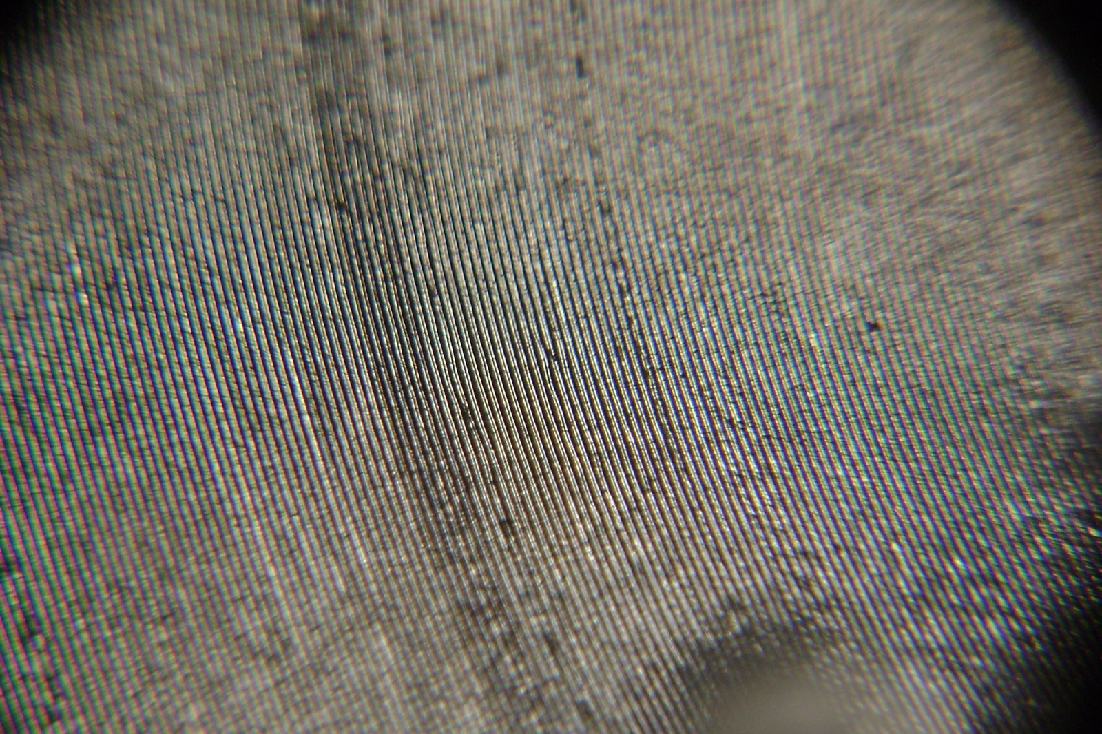 Magnified curving grooves on a 1925 Victor 78 rpm gramophone disc.